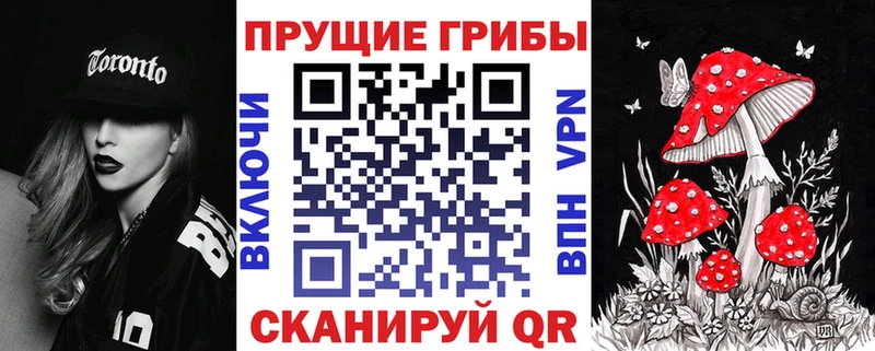 Галлюциногенные грибы Magic Shrooms  где купить наркотик  Качканар 