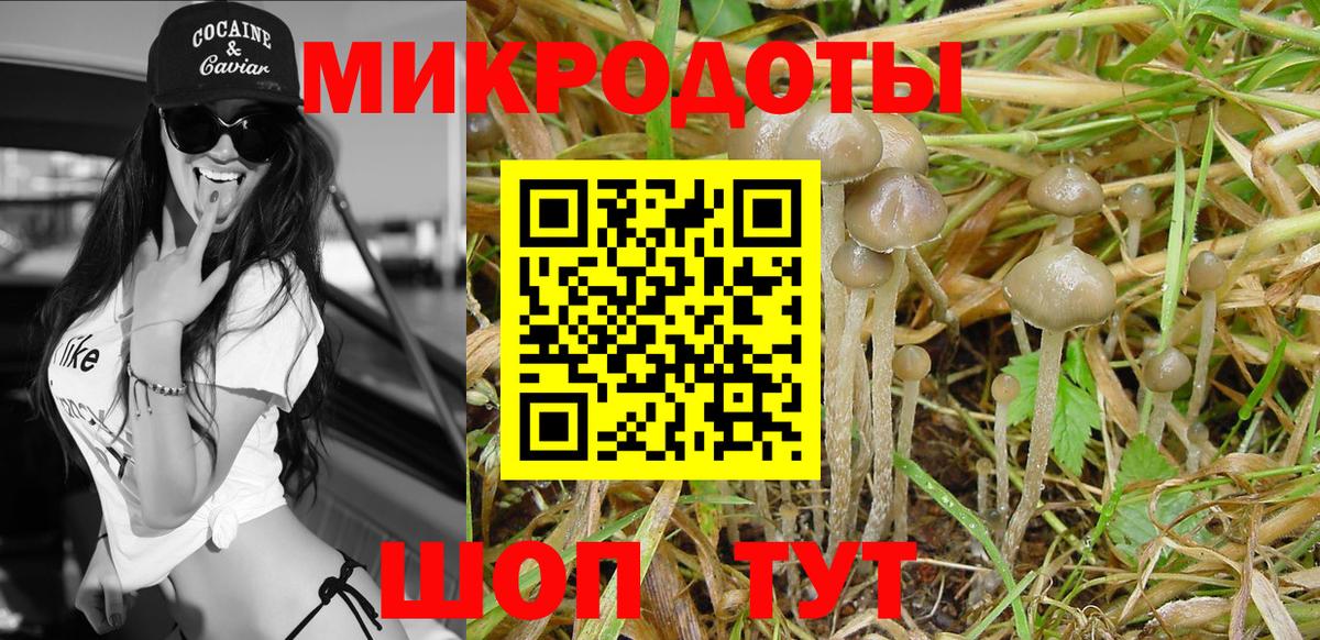 Качканар  Галлюциногенные грибы мухоморы  Вход с VPN 